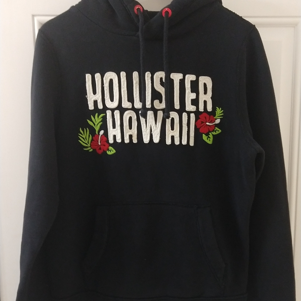 Hollister Mens Hooded Sweatshirt sz M